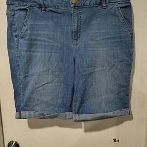 Lane Bryant Light Blue Jean Shorts